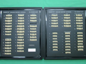 痛くない入れ歯・若さ戻る審美義歯は女性院長が担当している歯医者です。当院では、患者様のお口元や顔貌に合わせて、様々な形態の人工歯から選んで、審美入れ歯をお作りしています。多数の形態の人工歯セットの写真。