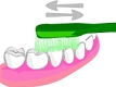 札幌南区の北の沢夜間歯科・矯正歯科の健康情報６へ。予防歯科：歯磨きのはなし。