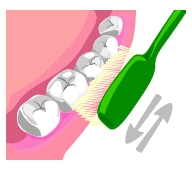 札幌南区の北の沢夜間歯科・矯正歯科のコラム７。歯磨きのはなし。予防歯科。