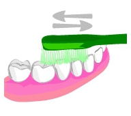 札幌南区の北の沢夜間歯科・矯正歯科のコラム7。歯磨きのはなし。予防歯科。